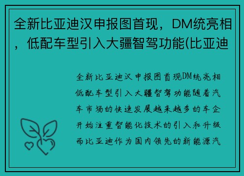 全新比亚迪汉申报图首现，DM统亮相，低配车型引入大疆智驾功能(比亚迪汉2022全新)